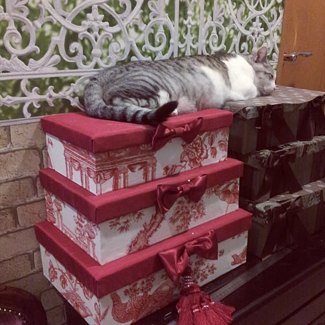 emmyyさんの実例写真
