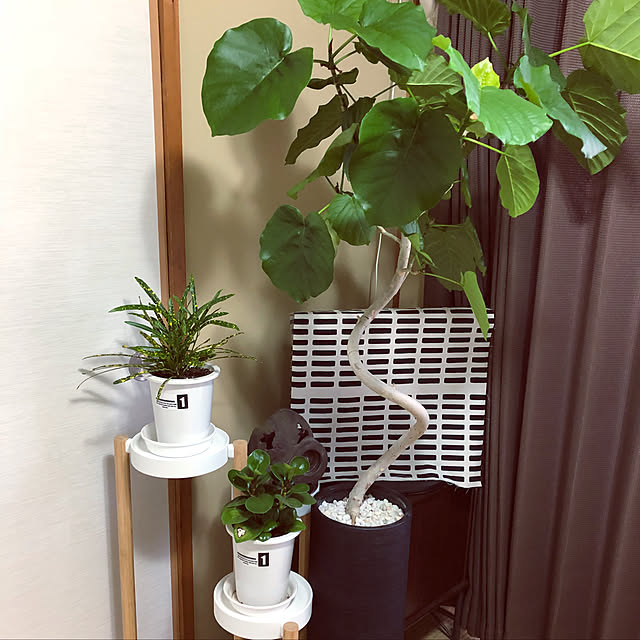 Ryutoman55さんの実例写真