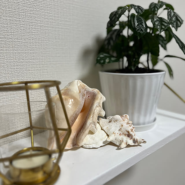 neonfrenchyさんの部屋