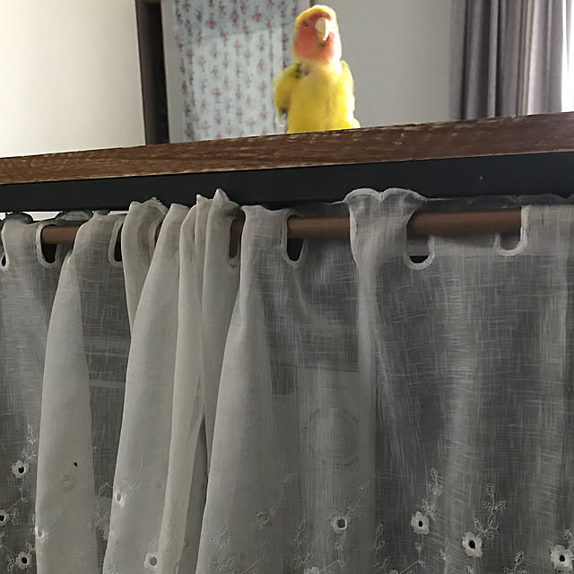 keinagen91さんの実例写真