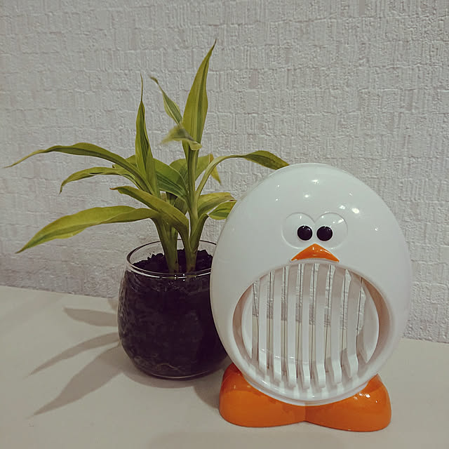 rinaさんの実例写真