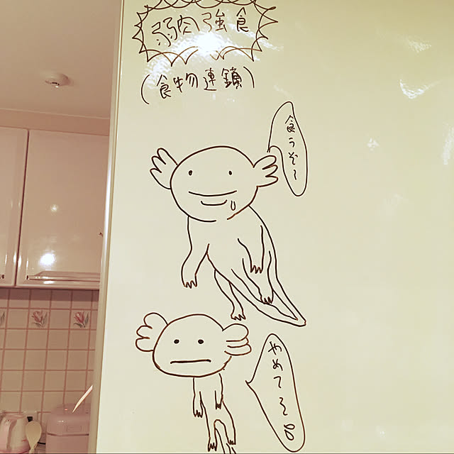 saiさんの実例写真