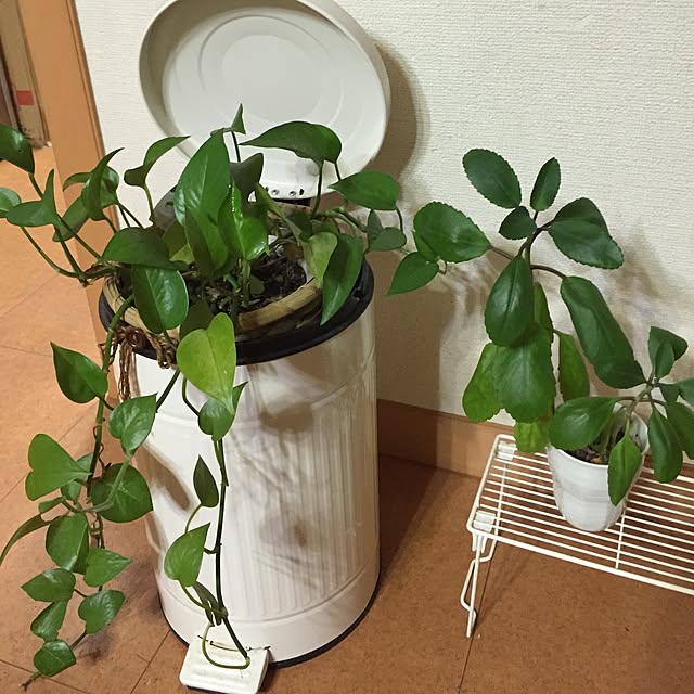 Okudanonnonさんの実例写真