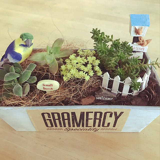 puku-pukuさんの実例写真