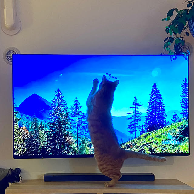 pooさんの部屋