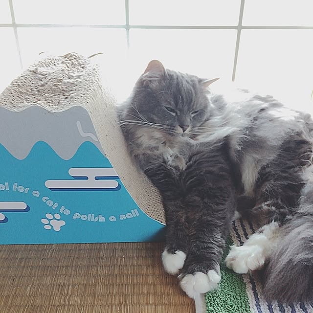 mii-tanさんの実例写真
