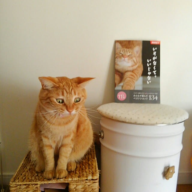 mayutan.さんの実例写真
