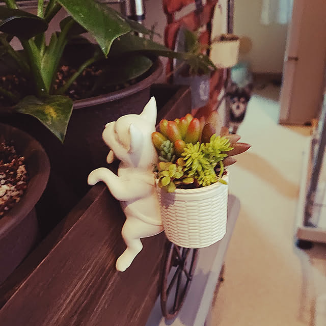 LaLaさんの実例写真