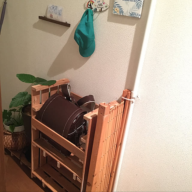 ayuさんの実例写真