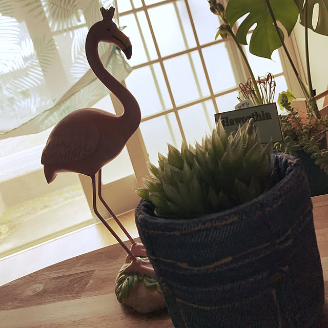 yuさんの実例写真