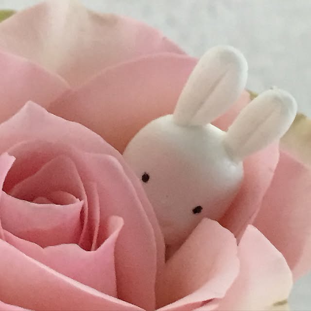 popoyukiさんの実例写真