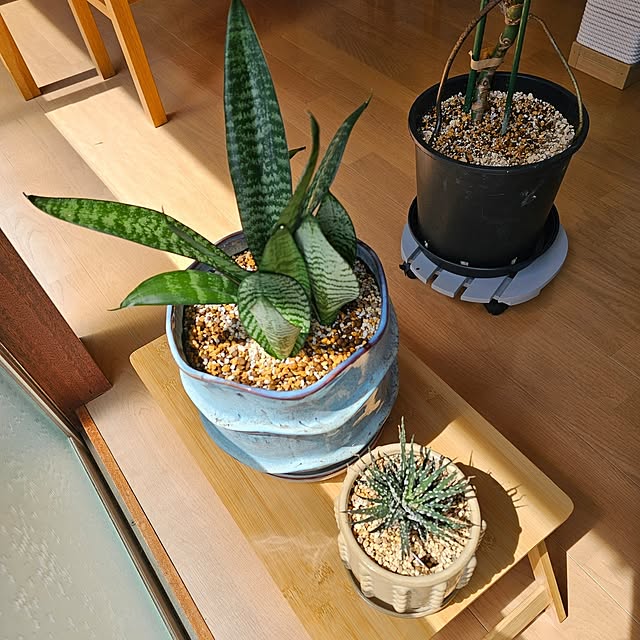 makoさんの実例写真