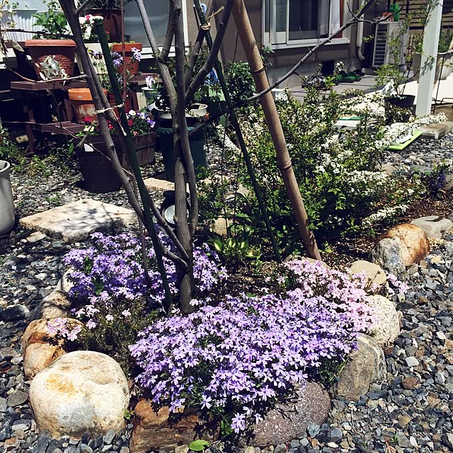minminさんの実例写真