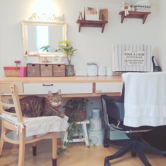lovecatさんの実例写真