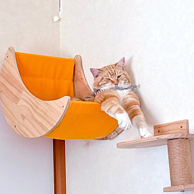 moolさんの部屋
