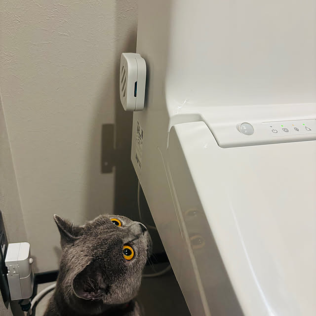 lulu1109さんの実例写真