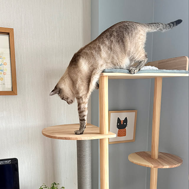 amさんの部屋