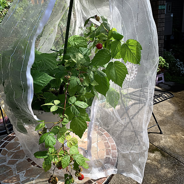 eshinobumさんの部屋