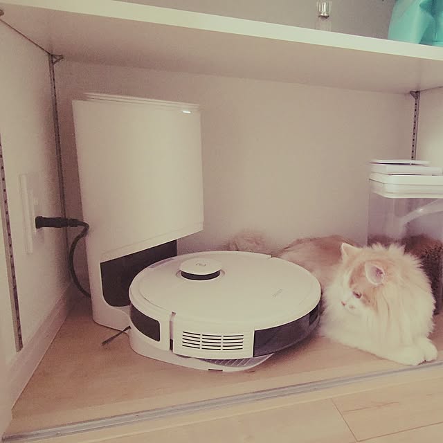 Shiratamaさんの実例写真