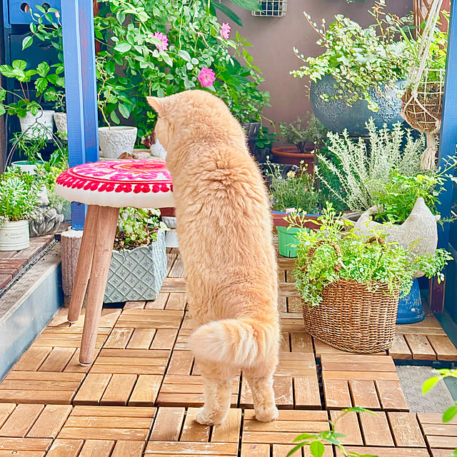 naokoさんの部屋