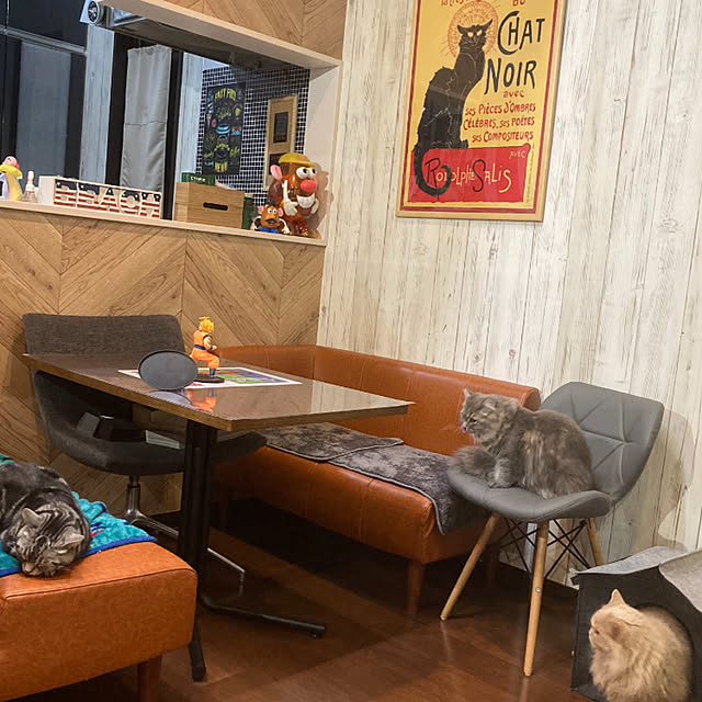ねこちゃん/ダイニングソファ/猫と暮らす家/ダイニングテーブル/カフェテーブル...などのインテリア実例 - 2023-03-18 21:45:33