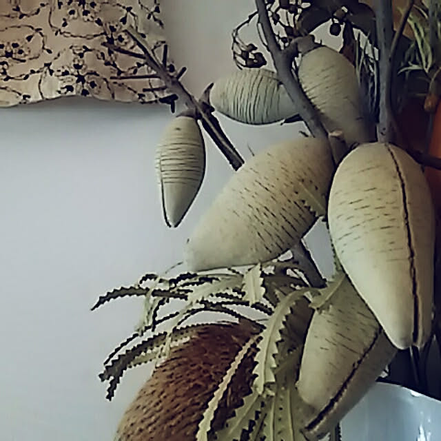 spinetailさんの実例写真