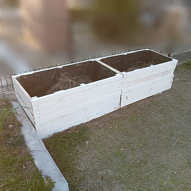 soyokoさんの実例写真