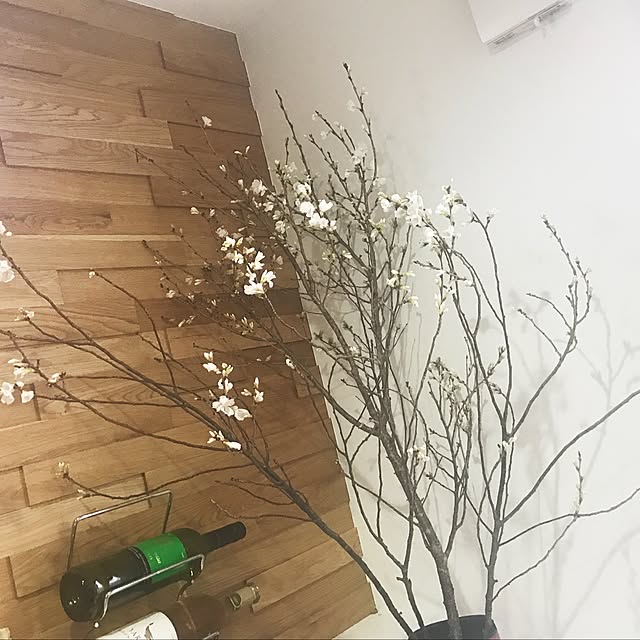 shiiimay114さんの実例写真