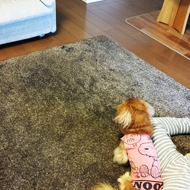 sumireさんの実例写真