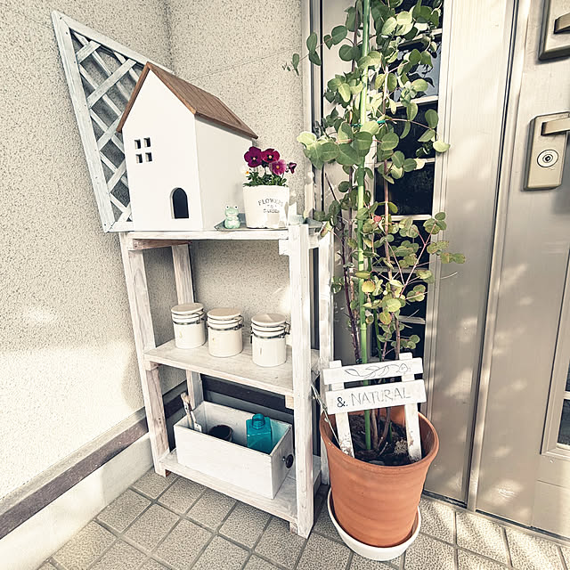 cyaroさんの部屋