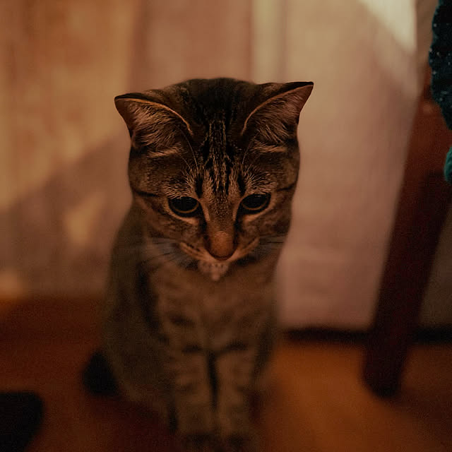 Mさんの実例写真