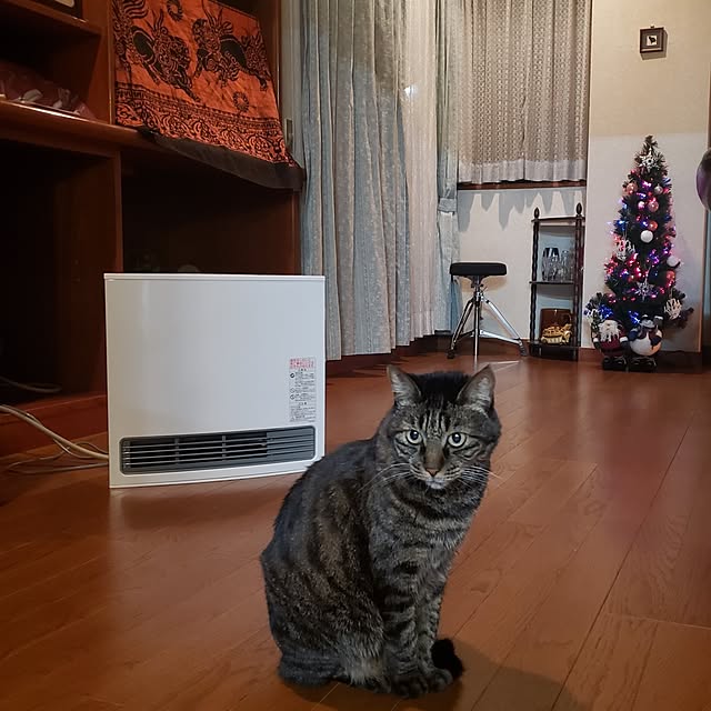 Mayumi8888さんの実例写真