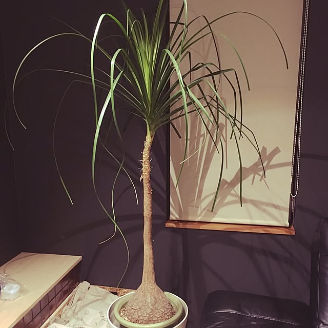 mariaさんの実例写真