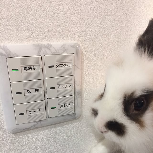 syomomo1008さんの実例写真