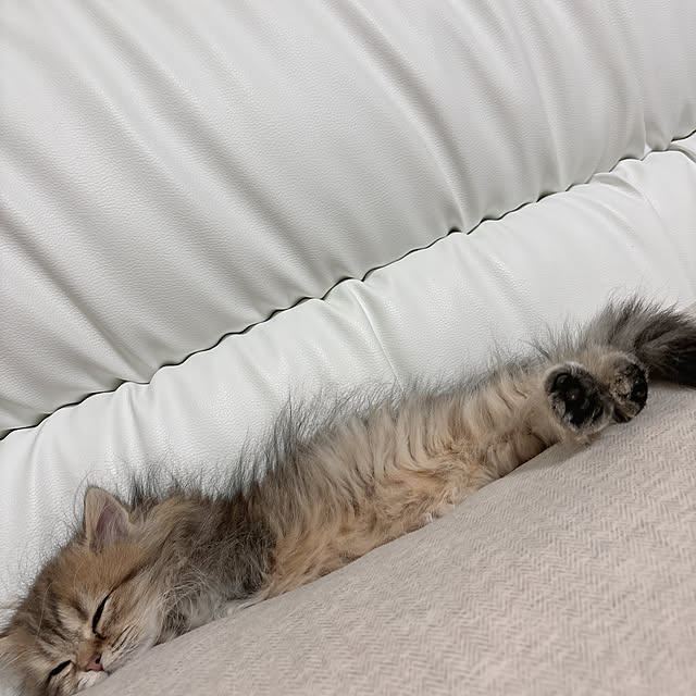 miyu39さんの部屋