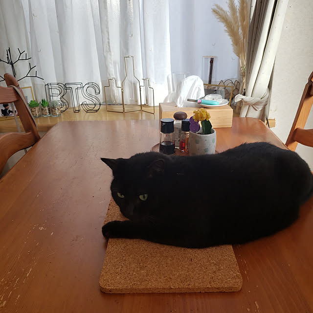naru2014さんの実例写真