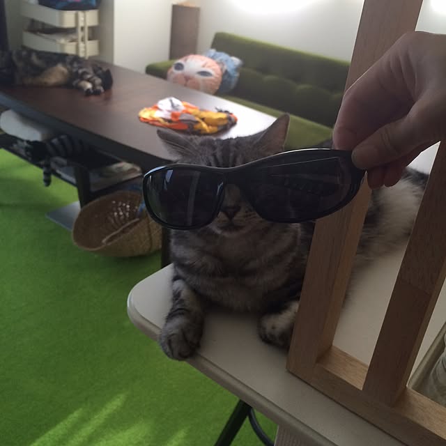 mikomaruさんの実例写真