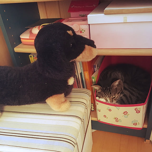 kimikimiさんの実例写真