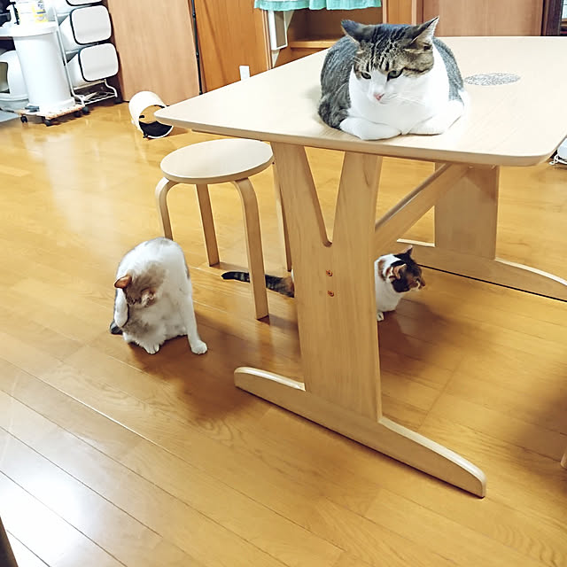 nachiさんの実例写真