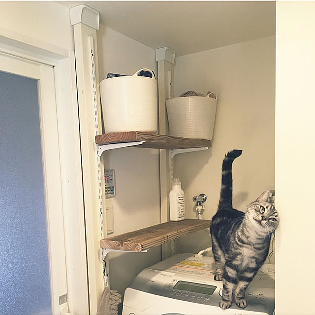 mikomaruさんの実例写真