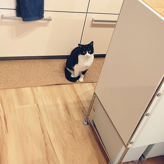 hihaさんの実例写真