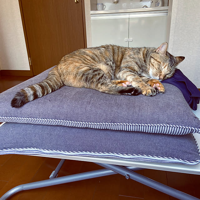 hansho.sさんの実例写真