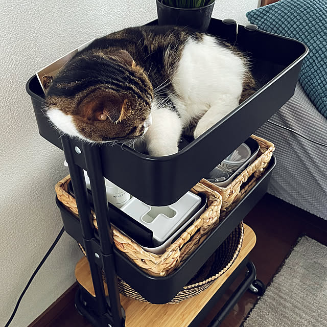 tansukeさんの実例写真