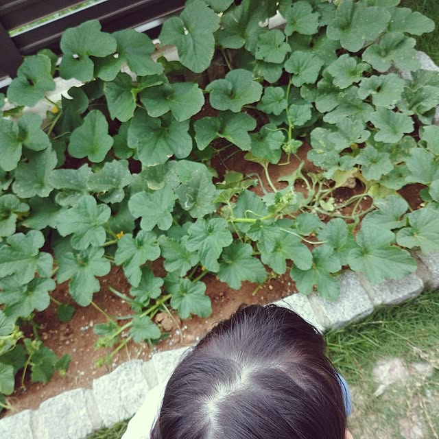 kkmhさんの部屋