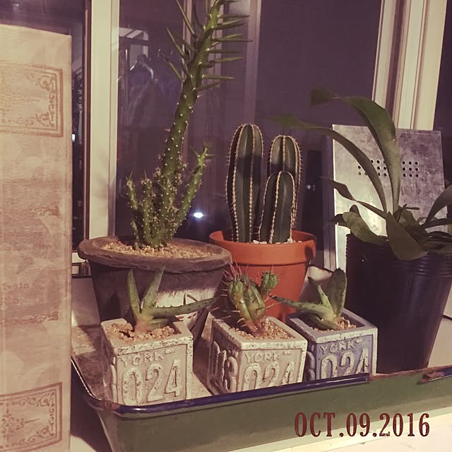 natulove0418さんの実例写真
