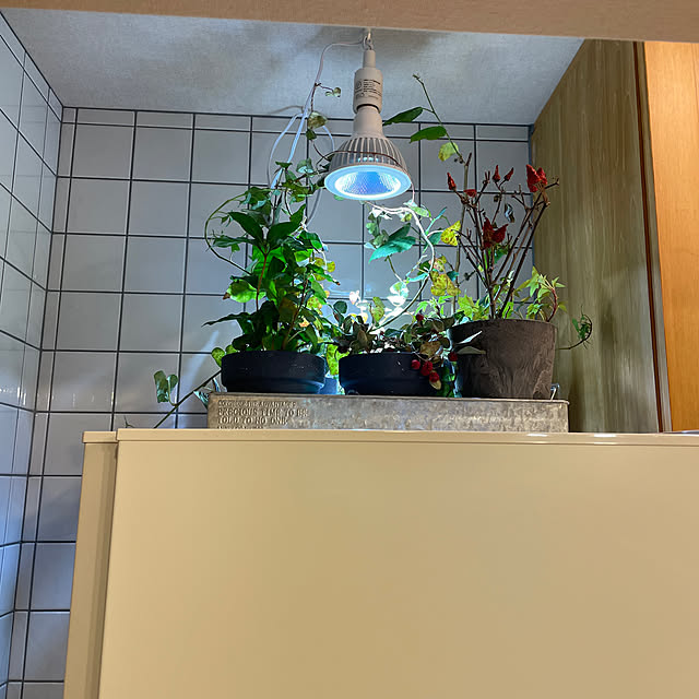 haruharuさんの実例写真