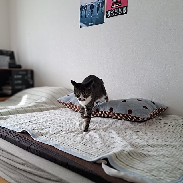 shinoさんの部屋