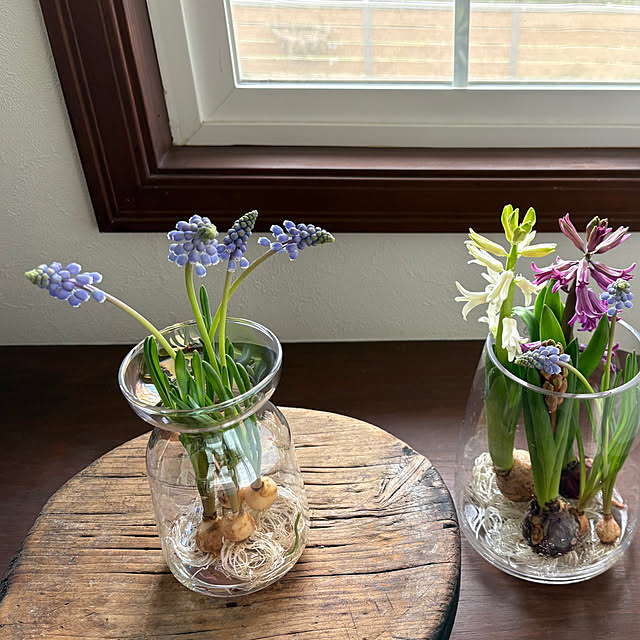 nana77さんの部屋