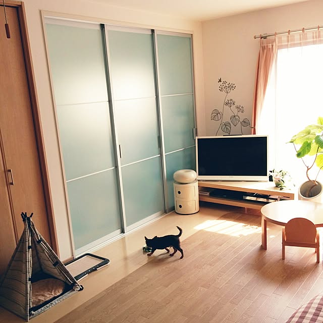 miyuさんの実例写真