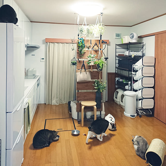 nachiさんの実例写真